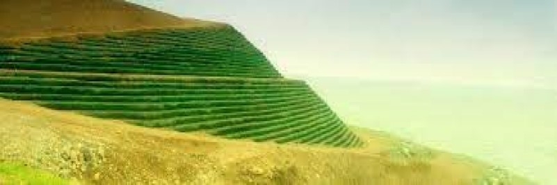 Mobility of heavy metals in the water-soil environment in the vicinity of mining dams under conditions of heavy anthropogenic pollution