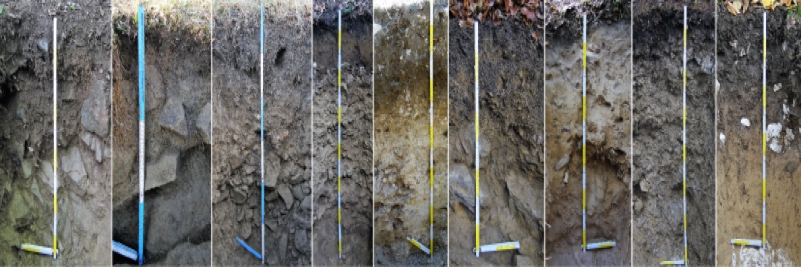 Wykorzystanie magnetometrii w celu określenia wpływu podłoża geologicznego na skałę macierzystą w oparciu o ich właściwości magnetyczne i geochemiczne
