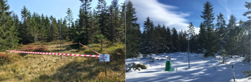 Characteristics of technogenic magnetic particles and the potentially toxic elements they carry in long-range emissions and local sources in the Jizera Mountains